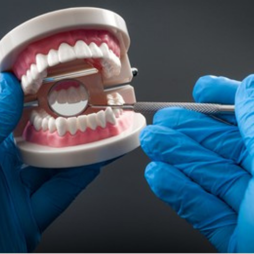 Oral Health and Dentistry  Photo